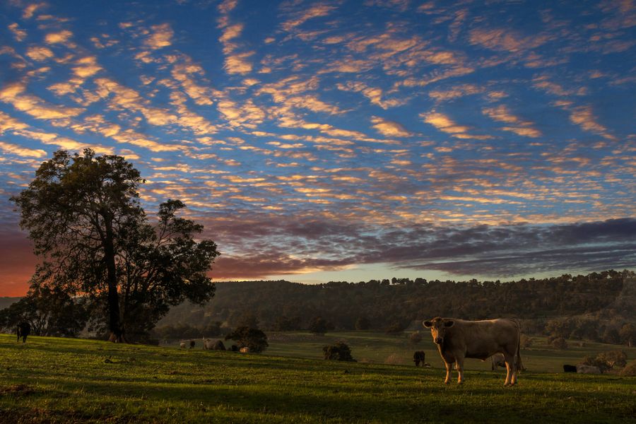Agricultură și ferme